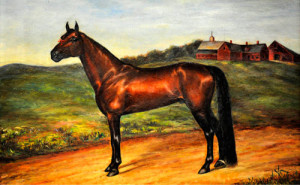 Nelson