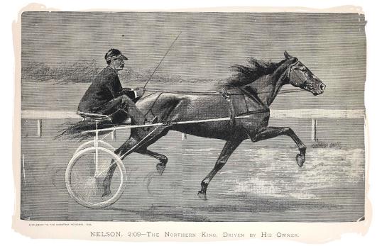 Vintage harness racing horse and sulky driver