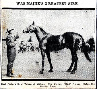 Vintage stallion with owner holding halter